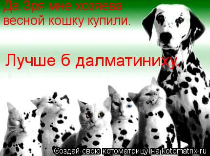 Котоматрица: Да.Зря мне хозяева  весной кошку купили. Лучше б далматиниху.
