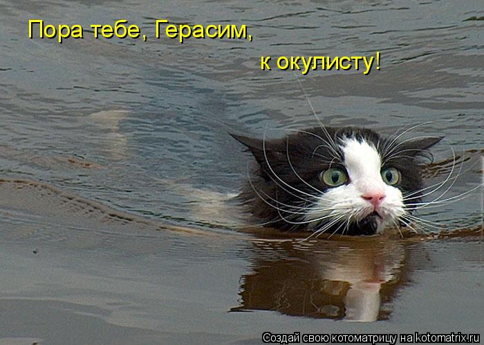 Котоматрица: Пора тебе, Герасим, к окулисту!