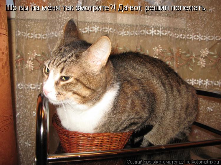 Котоматрица: Шо вы на меня так смотрите?! Да вот, решил полежать...