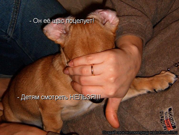 Котоматрица: - Он её щас поцелует! - Детям смотреть НЕЛЬЗЯ!!!
