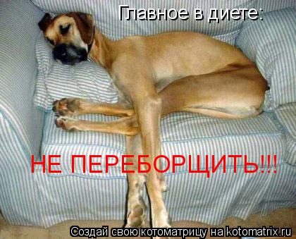 Котоматрица: Главное в диете: НЕ ПЕРЕБОРЩИТЬ!!!