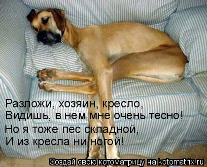 Котоматрица: Разложи, хозяин, кресло, Видишь, в нем мне очень тесно! Но я тоже пес складной, И из кресла ни ногой!