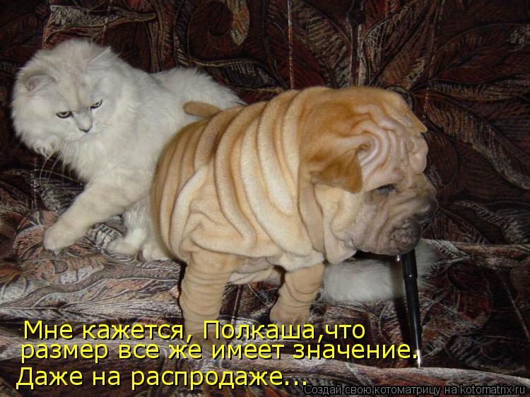 Мне кажется, Полкаша,что размер все же имеет значение. Даже на распродаже...... Котоматрица: Мне кажется, Полкаша,что размер все же имеет значение. Даже на распродаже...