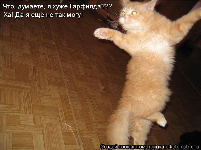 Котоматрица: Что, думаете, я хуже Гарфилда??? Ха! Да я ещё не так могу!