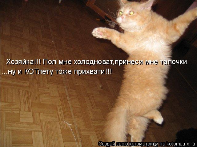 Котоматрица: Хозяйка!!! Пол мне холодноват,принеси мне тапочки ...ну и КОТлету тоже прихвати!!!