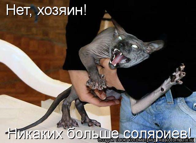 Котоматрица: Нет, хозяин! Никаких больше соляриев!