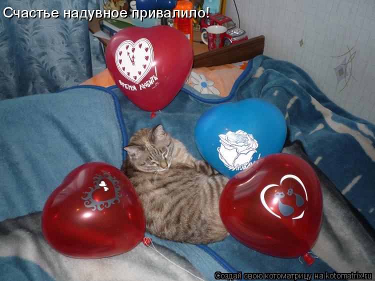 Котоматрица: Счастье надувное привалило!