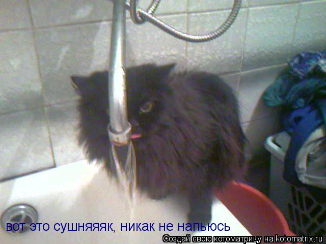 Котоматрица: вот это сушняяяк, никак не напьюсь