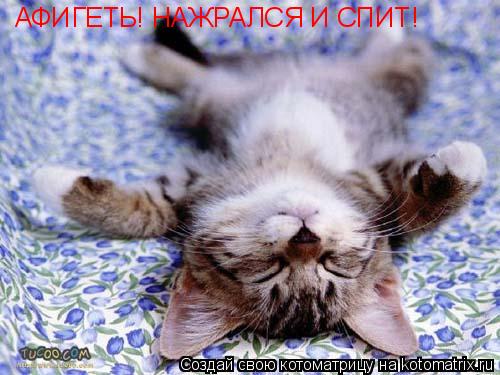 Котоматрица: АФИГЕТЬ! НАЖРАЛСЯ И СПИТ!