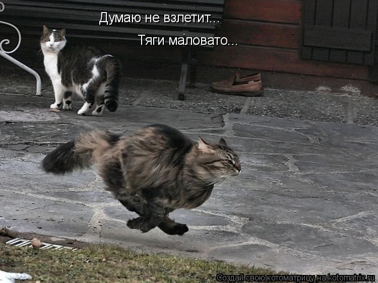 Котоматрица: Думаю не взлетит... Тяги маловато...