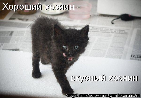 Котоматрица: Хороший хозяин - вкусный хозяин