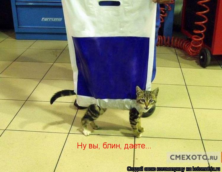 Котоматрица: Ну вы, блин, даете...