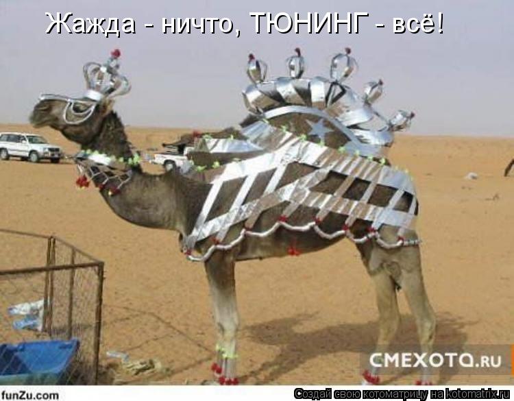 Котоматрица: Жажда - ничто, ТЮНИНГ - всё!