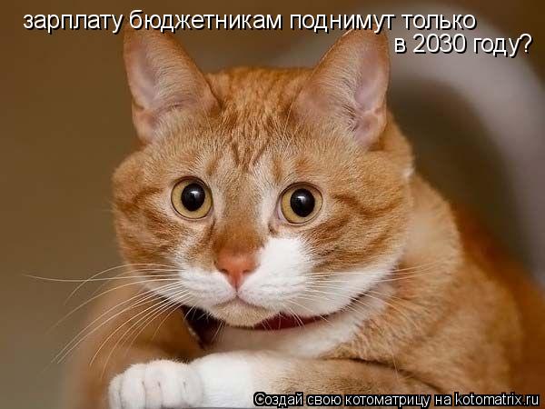 Котоматрица: зарплату бюджетникам поднимут только  в 2030 году?