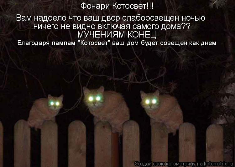Фонари Котосвет!!! Вам надоело что ваш двор слабоосвещен ночью ничего не видно включая самого дома?? ... Котоматрица: Фонари Котосвет!!! Вам надоело что ваш двор слабоосвещен ночью ничего не видно включая самого дома?? МУЧЕНИЯМ КОНЕЦ Благодаря лампам "Котосв