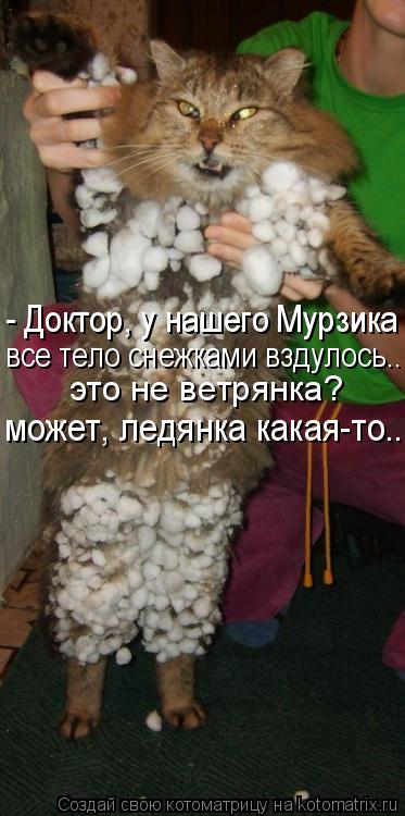 - Доктор, у нашего Мурзика все тело снежками вздулось... это не ветрянка?, или ледянка какая-то...а к... Котоматрица: - Доктор, у нашего Мурзика все тело снежками вздулось... это не ветрянка?, или ледянка какая-то...а какая-то... все тело снежками вздулось... это н