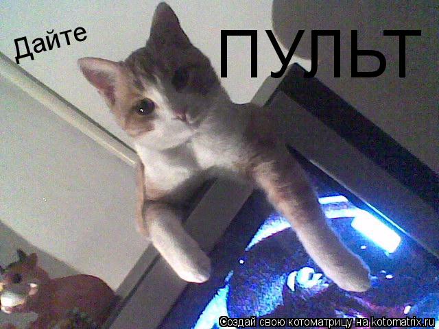 Дайте ПУЛЬТ... Котоматрица: Дайте ПУЛЬТ