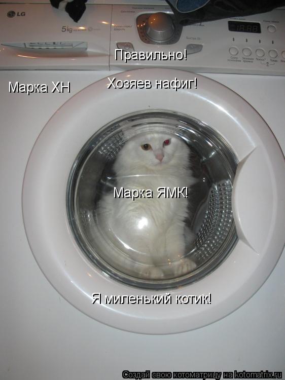 Марка ХН Правильно! Хозяев нафиг! Марка ЯМК! Я миленький котик!... Котоматрица: Марка ХН Правильно! Хозяев нафиг! Марка ЯМК! Я миленький котик!