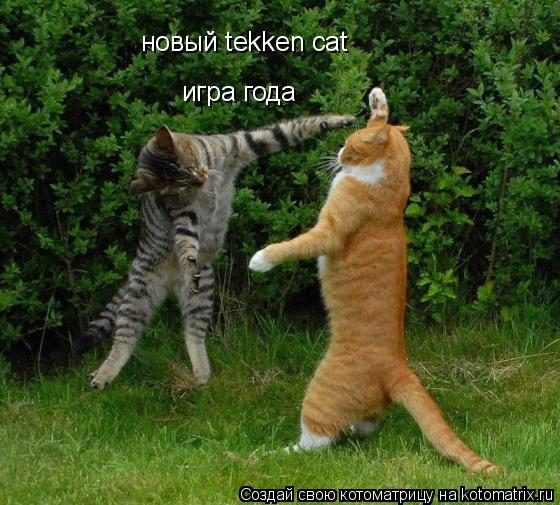 Котоматрица: новый tekken cat игра года