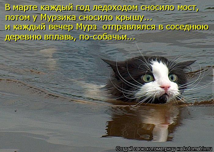 В марте каждый год ледоходом сносило мост, потом у Мурзика сносило крышу... и каждый вечер Мурз отпр... Котоматрица: В марте каждый год ледоходом сносило мост, потом у Мурзика сносило крышу... и каждый вечер Мурз отправлялся в соседнюю деревню вплавь, по-со