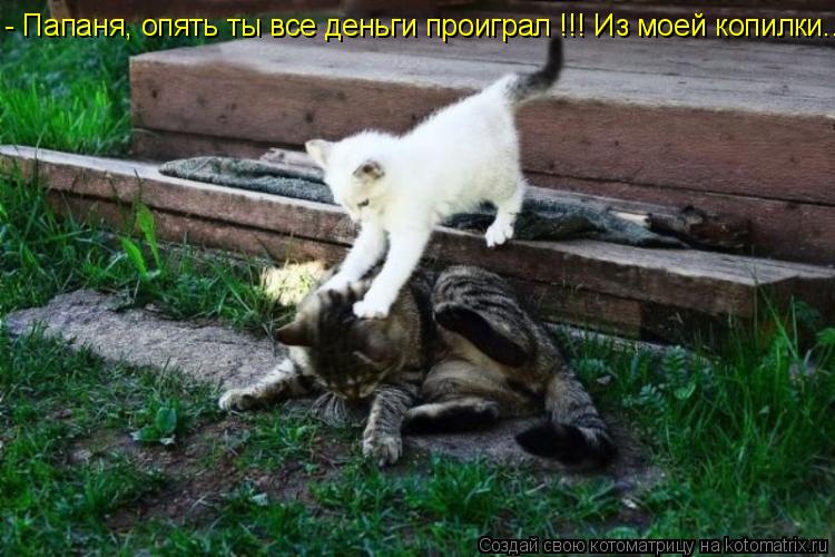- Папаня, опять ты все деньги проиграл !!! Из моей копилки...... Котоматрица: - Папаня, опять ты все деньги проиграл !!! Из моей копилки...