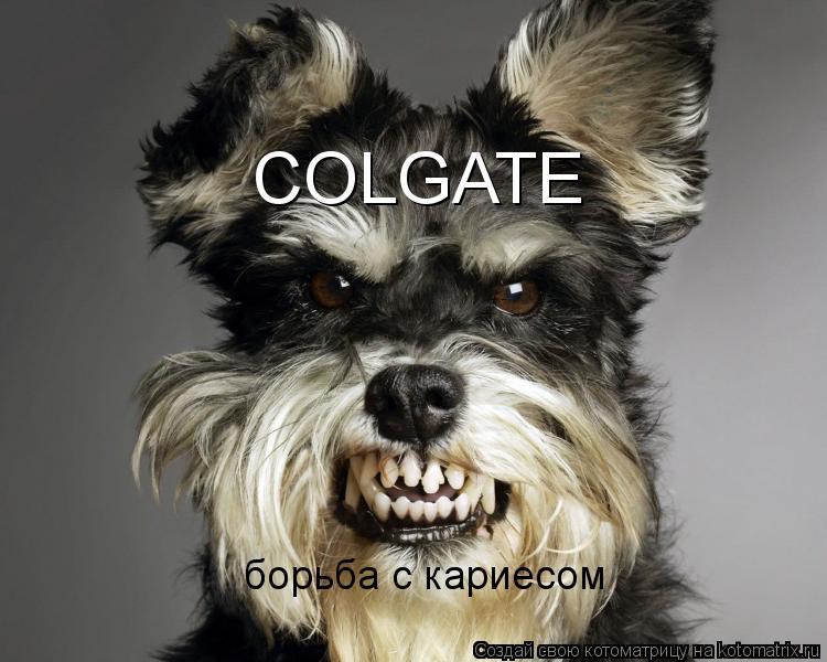 борьба с кариесом COLGATE... Котоматрица: борьба с кариесом COLGATE