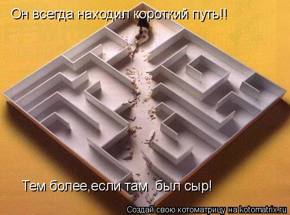 Он всегда находил короткий путь!! Тем более,если там был сыр!... Котоматрица: Он всегда находил короткий путь!! Тем более,если там был сыр!