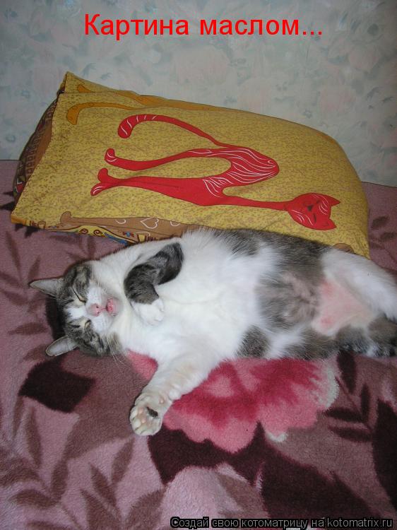 Картина маслом...... Котоматрица: Картина маслом...