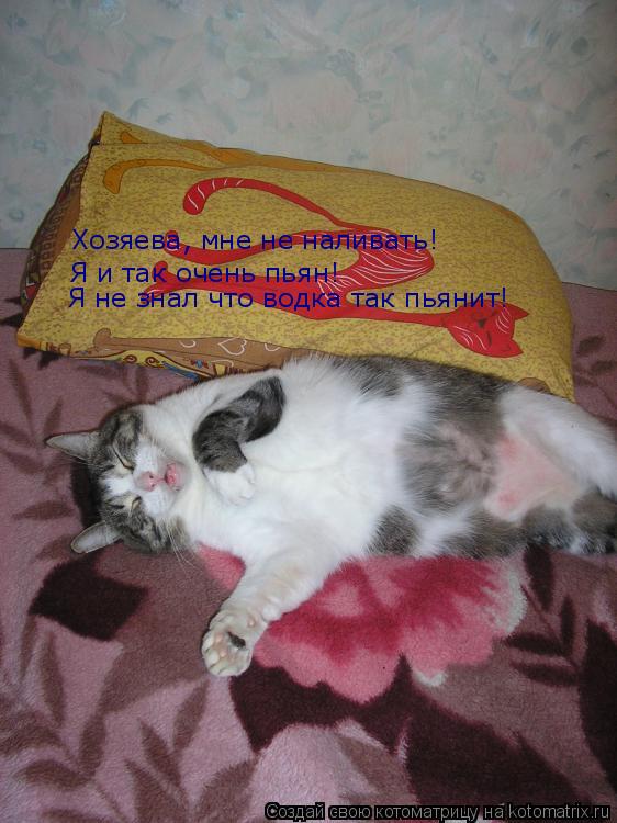 Хозяева, мне не наливать! Я и так очень пьян! Я не знал что водка так пьянит!... Котоматрица: Хозяева, мне не наливать! Я и так очень пьян! Я не знал что водка так пьянит!