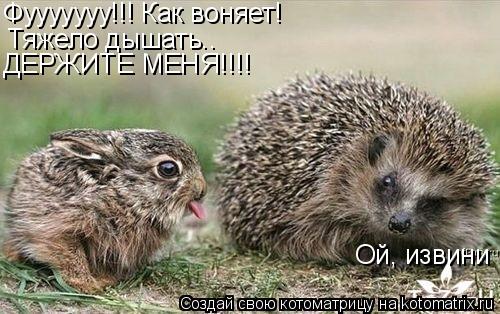 Фууууууу!!! Как воняет! Тяжело дышать.. ДЕРЖИТЕ МЕНЯ!!!! Ой, извини... Котоматрица: Фууууууу!!! Как воняет! Тяжело дышать.. ДЕРЖИТЕ МЕНЯ!!!! Ой, извини