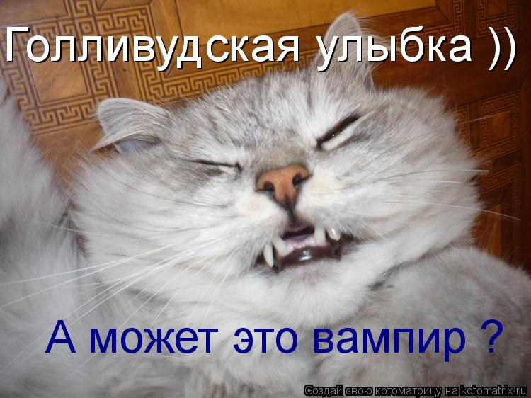 Голливудская улыбка )) А может это вампир ?... Котоматрица: Голливудская улыбка )) А может это вампир ?