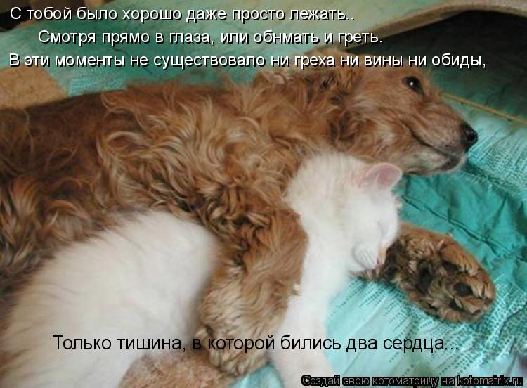 С тобой было хорошо даже просто лежать.. Смотря прямо в глаза, или обнмать и греть. В эти моменты не ... Котоматрица: С тобой было хорошо даже просто лежать.. Смотря прямо в глаза, или обнмать и греть. В эти моменты не существовало ни греха ни вины ни обиды, То
