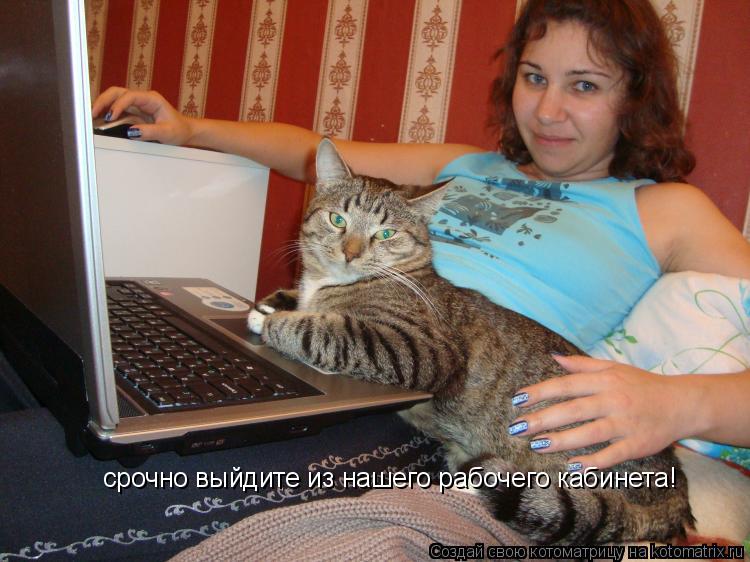 Котоматрица: срочно выйдите из нашего рабочего кабинета!