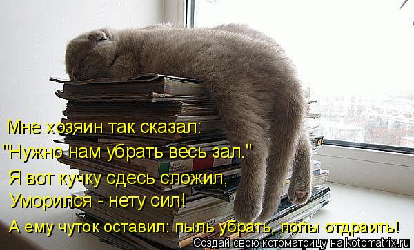 Котоматрица: Мне хозяин так сказал: "Нужно нам убрать весь зал." Я вот кучку сдесь сложил, Уморился - нету сил! А ему чуток оставил: пыль убрать, полы отдраи
