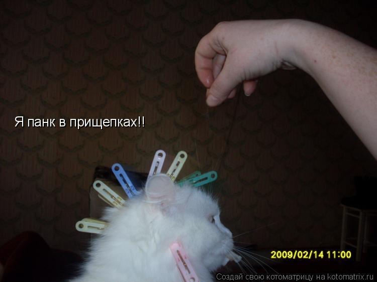 Котоматрица: Я панк в прищепках!!