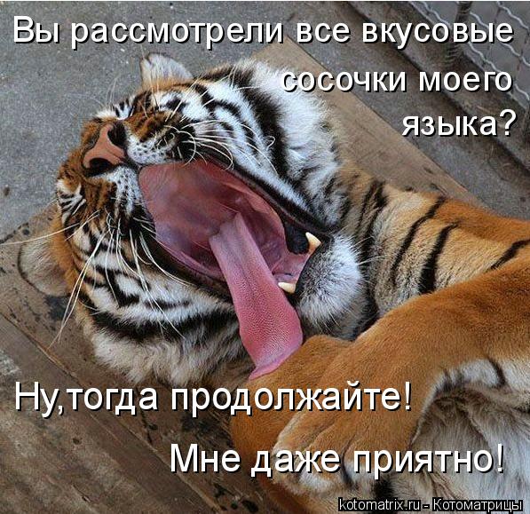 Котоматрица: Ну,тогда продолжайте!  Мне даже приятно! Вы рассмотрели все вкусовые  сосочки моего языка?