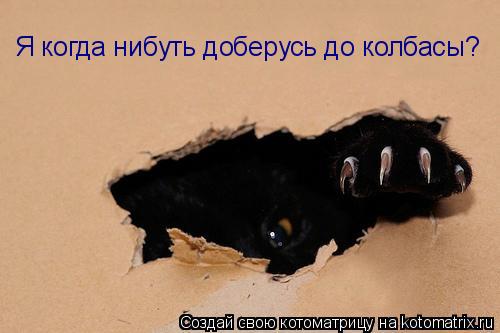 Котоматрица: Я когда нибуть доберусь до колбасы?