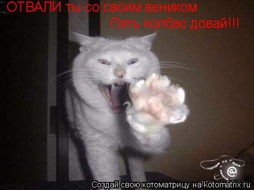 Котоматрица: ОТВАЛИ ты со своим веником Пять колбас довай!!!