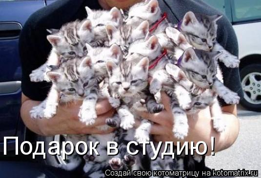 Котоматрица: Подарок в студию!