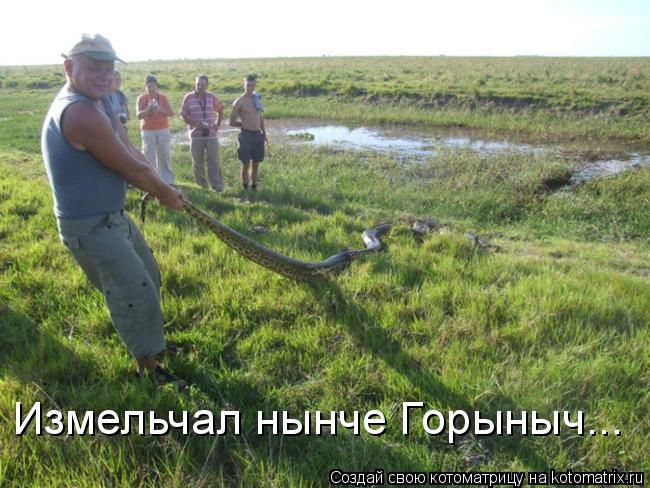 Измельчал нынче Горыныч...... Котоматрица: Измельчал нынче Горыныч...