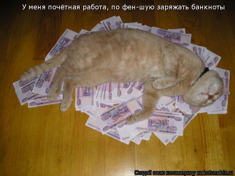 У меня почётная работа, по фен-шую заряжать банкноты... Котоматрица: У меня почётная работа, по фен-шую заряжать банкноты