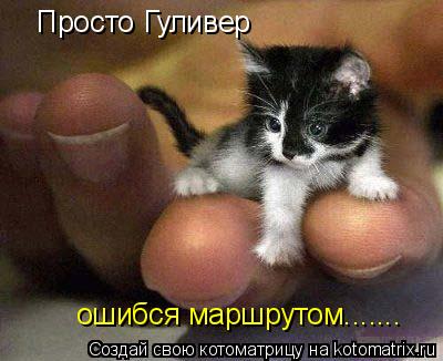Просто Гуливер ошибся маршрутом.......... Котоматрица: Просто Гуливер ошибся маршрутом.......