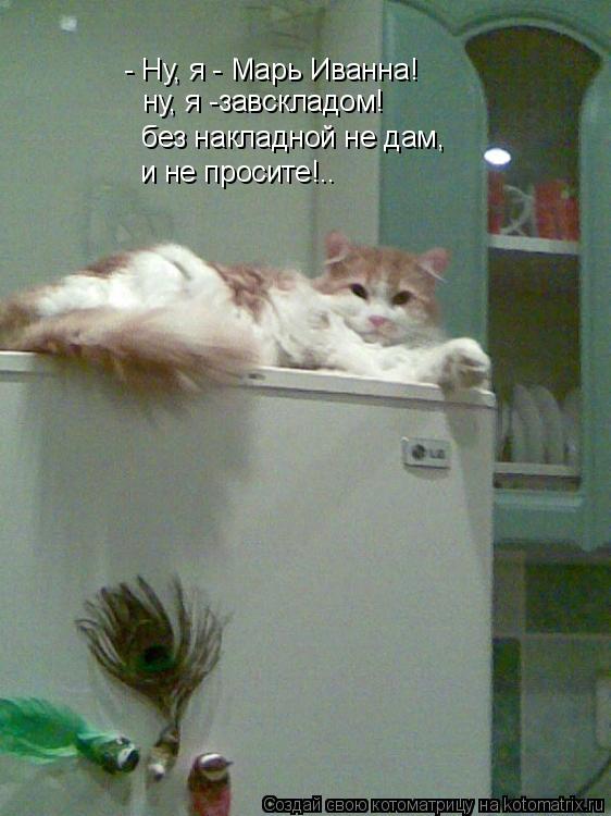 - Ну, я - Марь Иванна! ну, я -завскладом! без накладной не дам, и не просите!..... Котоматрица: - Ну, я - Марь Иванна! ну, я -завскладом! без накладной не дам, и не просите!..