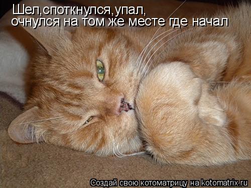 Котоматрица: Шел,споткнулся,упал, очнулся на том же месте где начал