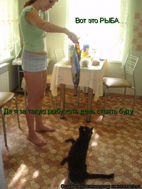 Котоматрица: Вот это РЫБА. Да я за такую рыбу хоть день стоять буду