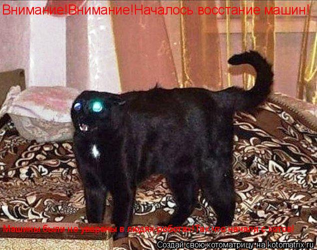 Котоматрица: Внимание!Внимание!Началось восстание машин! Машины были не уверены в людях-роботах!Так,что начали с котов!