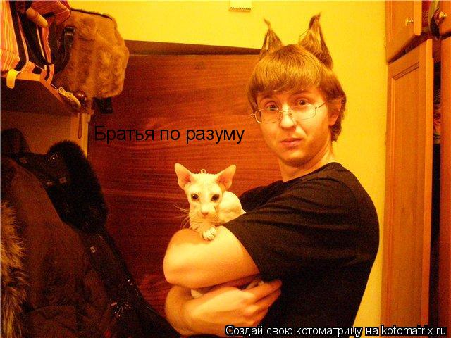 Котоматрица: Братья по разуму