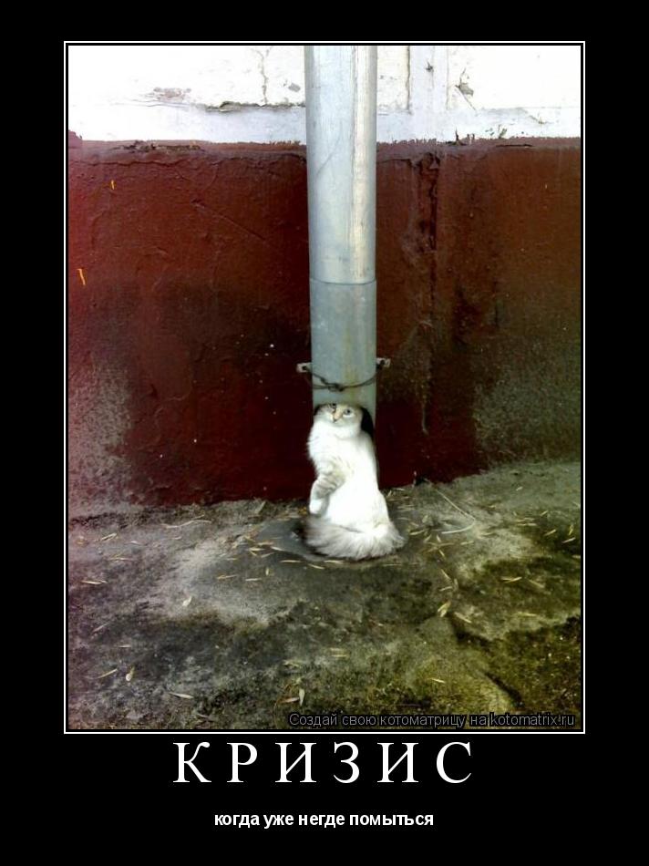 Котоматрица: кризис когда уже негде помыться