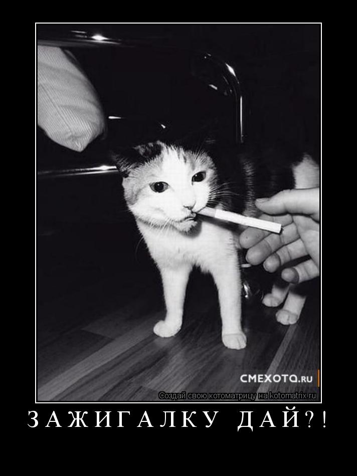 Котоматрица: зажигалку дай?! 