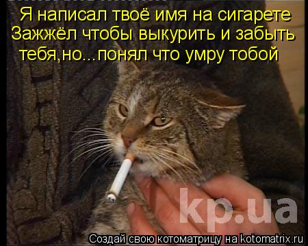 Котоматрица: Я написал твоё имя на сигарете Зажжёл чтобы выкурить и забыть тебя,но...понял что умру тобой